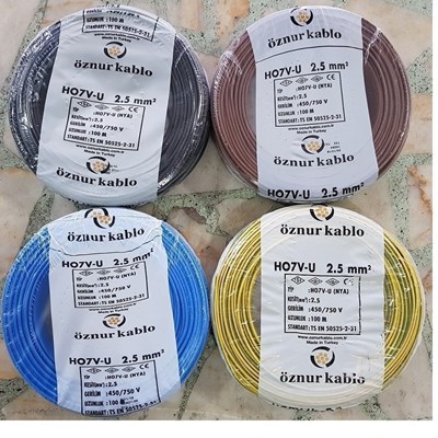 1.5 NYA ÖZNUR - (100 m.)